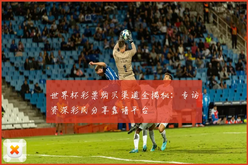 世界杯彩票购买渠道全揭秘：专访资深彩民分享靠谱平台