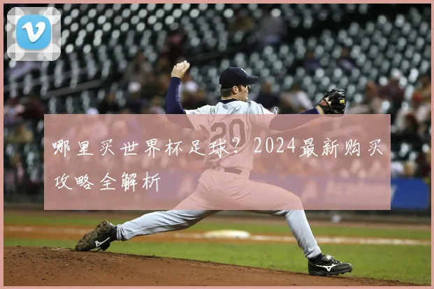 哪里买世界杯足球？2024最新购买攻略全解析