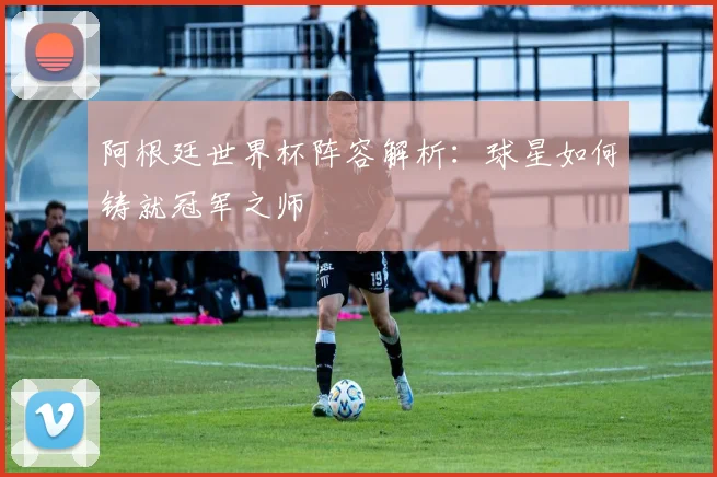 阿根廷世界杯阵容解析：球星如何铸就冠军之师