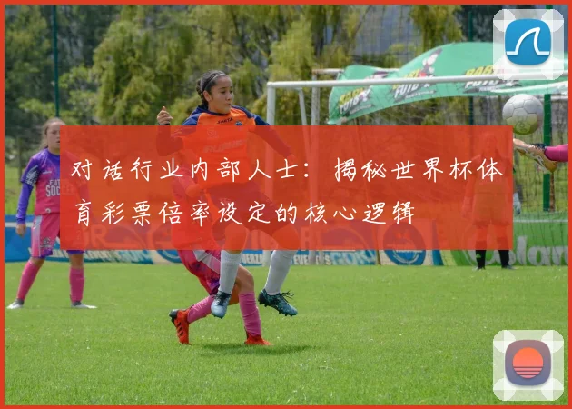 对话行业内部人士:揭秘世界杯体育彩票倍率设定的核心逻辑