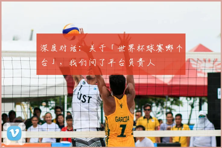 深度对话:关于「世界杯球赛哪个台」,我们问了平台负责人